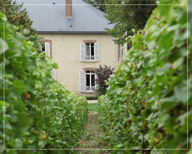 Domaine Bourmault et fils, producteur champagne Avize (51)